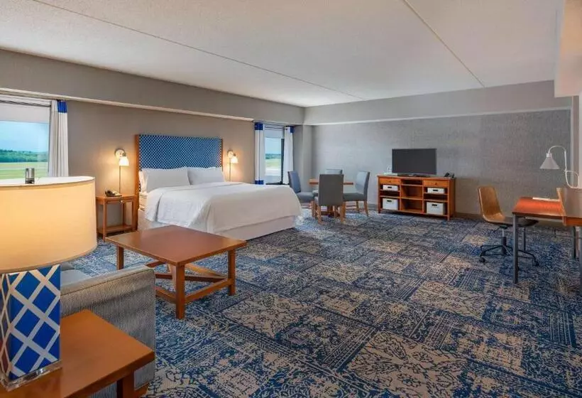 سوئیت با تخت بزرگ, Bangor Aviator Hotel Bw Premier Collection