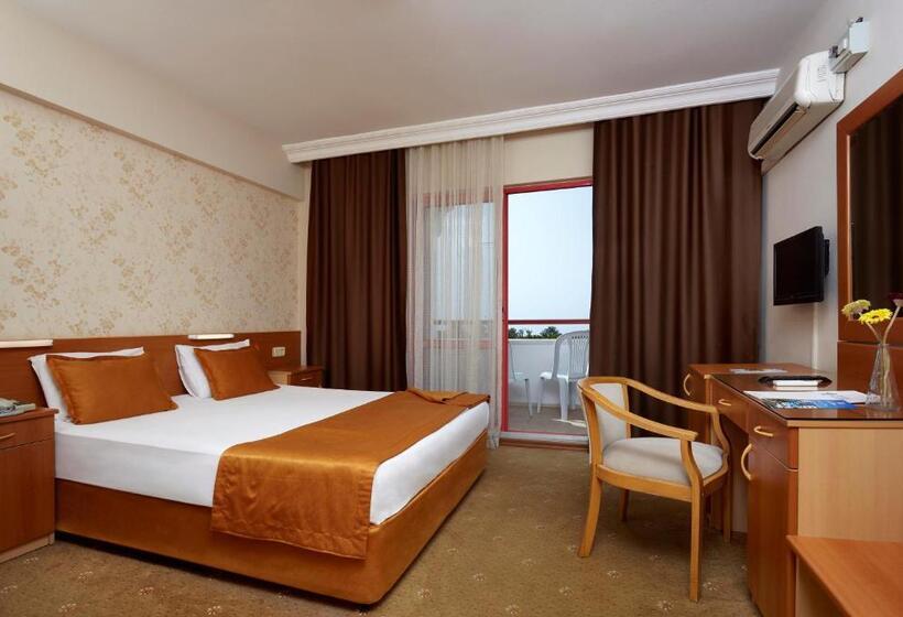 스탠다드 룸, Billurcu