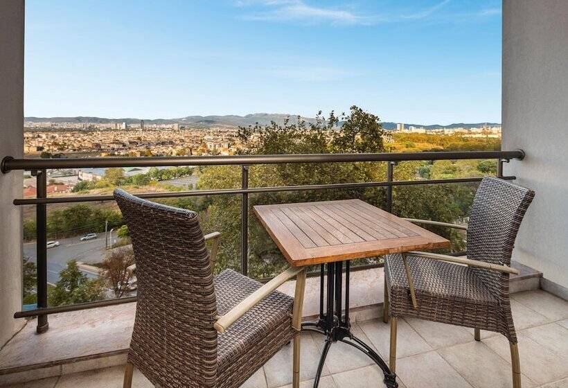 اتاق سوپریور, Celik Palace Convention Center Thermal Spa