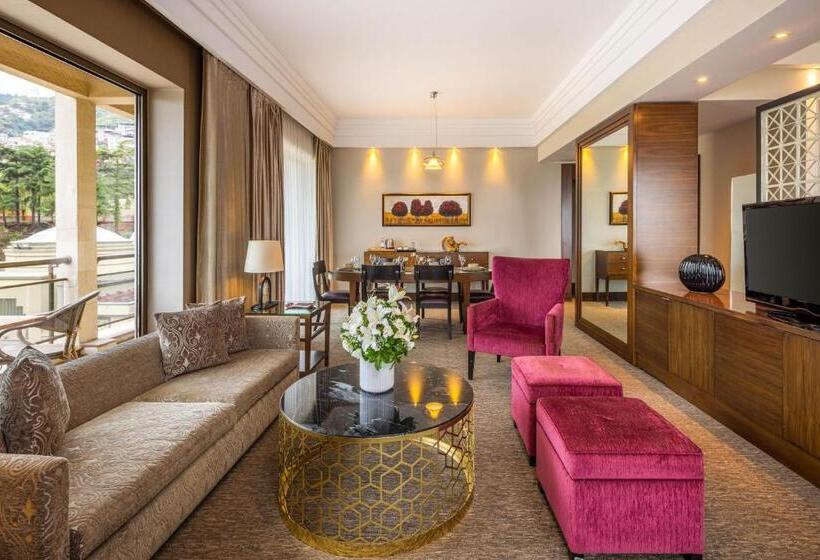 سوئیت با تخت بزرگ, Celik Palace Convention Center Thermal Spa