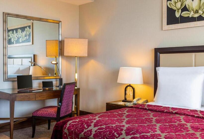 سوئیت با تخت بزرگ, Celik Palace Convention Center Thermal Spa