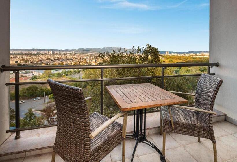 اتاق سوپریور, Celik Palace Convention Center Thermal Spa