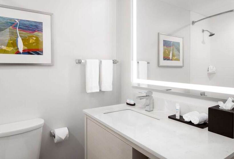 חדר סטנדרט, Embassy Suites By Hilton Tampa Airport Westshore