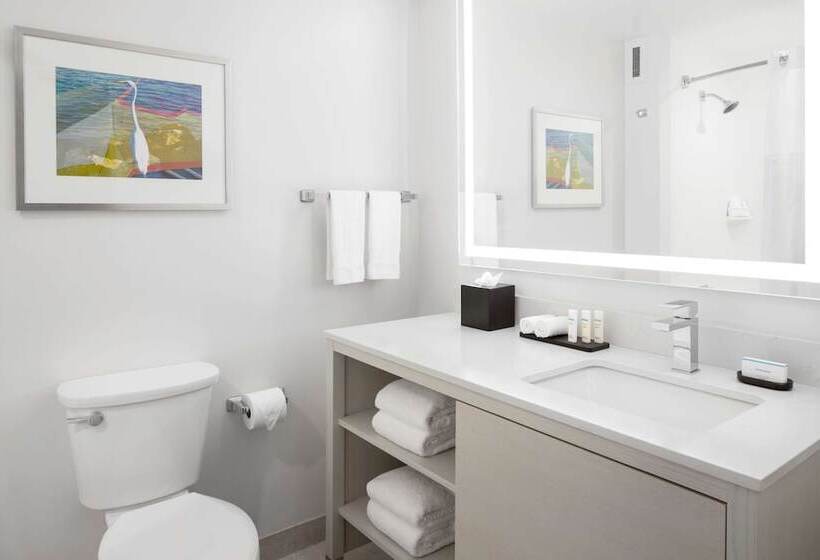 חדר סטנדרט שתי מיטות זוגיות, Embassy Suites By Hilton Tampa Airport Westshore