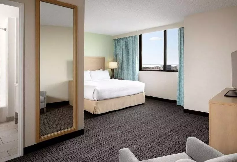 スイート, Embassy Suites By Hilton Tampa Airport Westshore