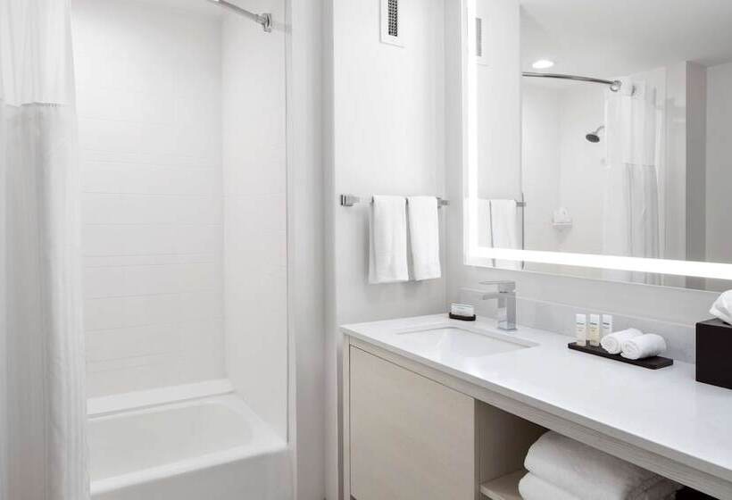 סוויטה, Embassy Suites By Hilton Tampa Airport Westshore