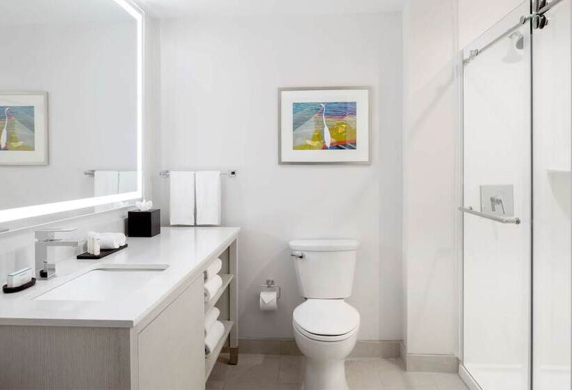 סטודיו סטנדרט מיטה זוגית, Embassy Suites By Hilton Tampa Airport Westshore