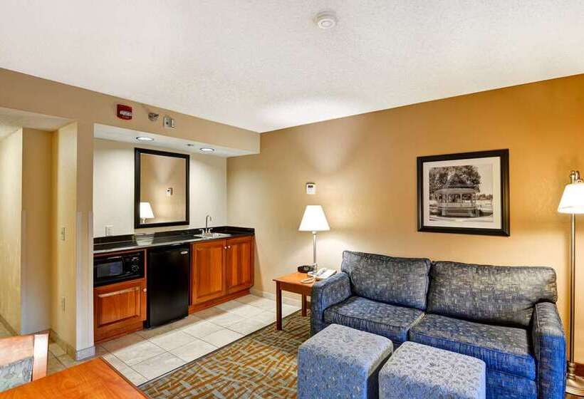 חדר סטנדרט, Embassy Suites By Hilton Tampa Airport Westshore