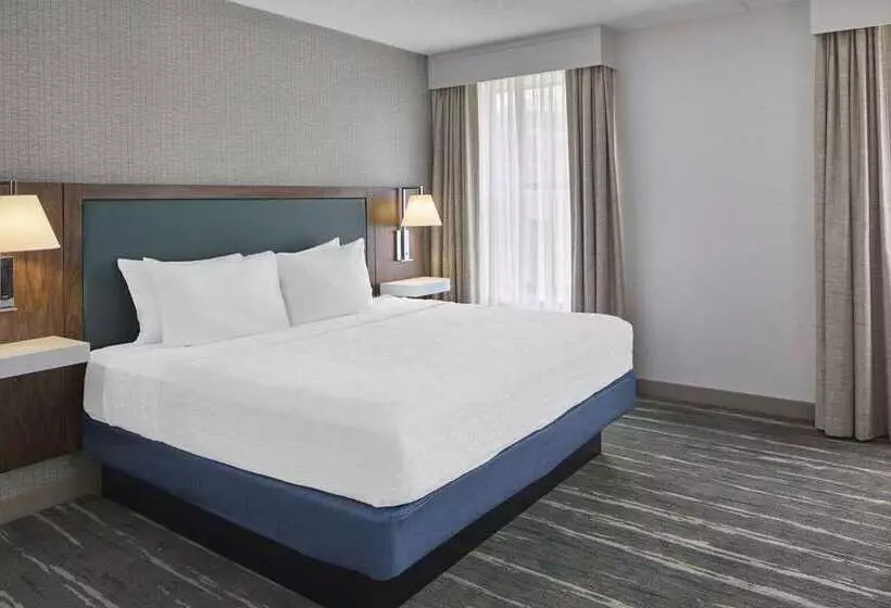 スタンダードルーム, Embassy Suites By Hilton Tampa Airport Westshore