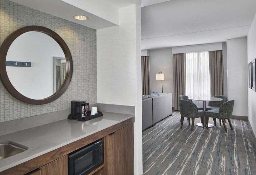 스탠다드 룸, Embassy Suites By Hilton Tampa Airport Westshore