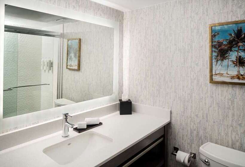 חדר סטנדרט עם נוף, Embassy Suites By Hilton Tampa Airport Westshore