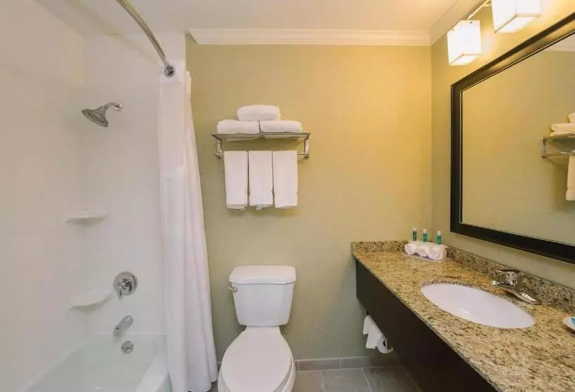 Sviitti Liikuntarajoitteisille, Holiday Inn Express And Suites Merrimack, An Ihg