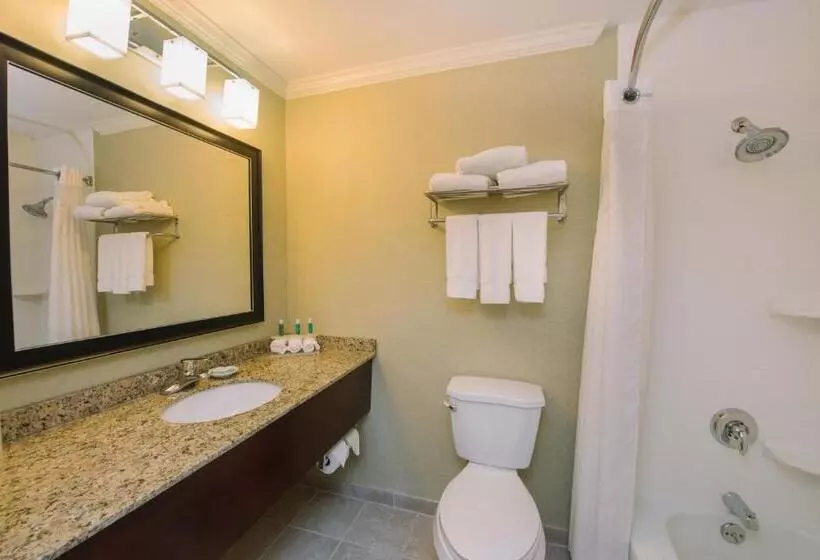 Sviitti King-vuode, Holiday Inn Express And Suites Merrimack, An Ihg