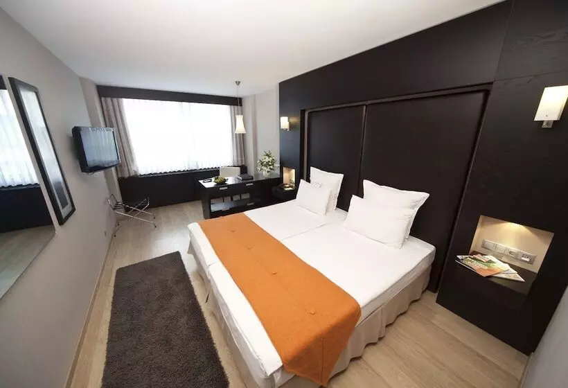 シティビューのデラックスルーム, Kalyon Hotel Istanbul