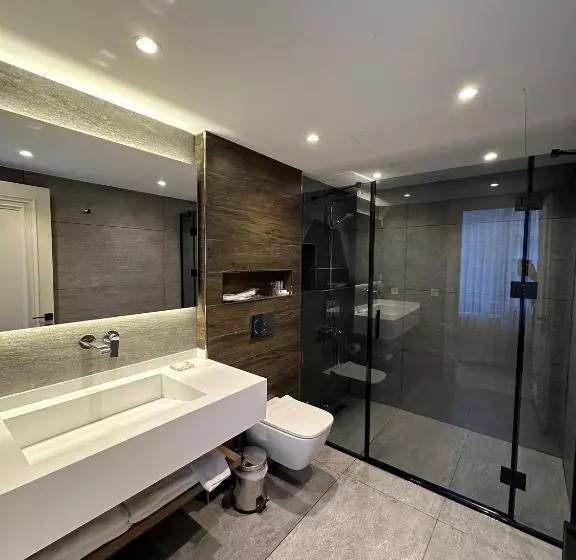 デラックスルーム, Kalyon Hotel Istanbul