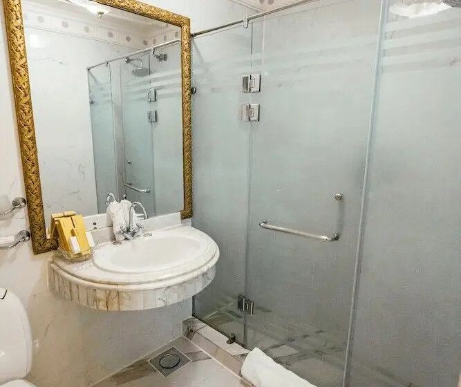 اتاق سوپریور با چشمانداز دریا, Le Metropole