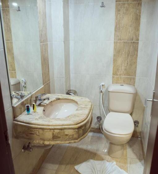 اتاق استاندارد, Salma Hotel Cairo