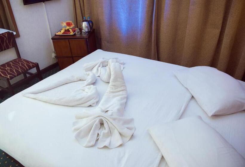 اتاق استاندارد, Salma Hotel Cairo