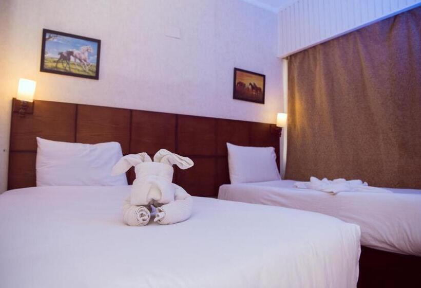 اتاق استاندارد, Salma Hotel Cairo