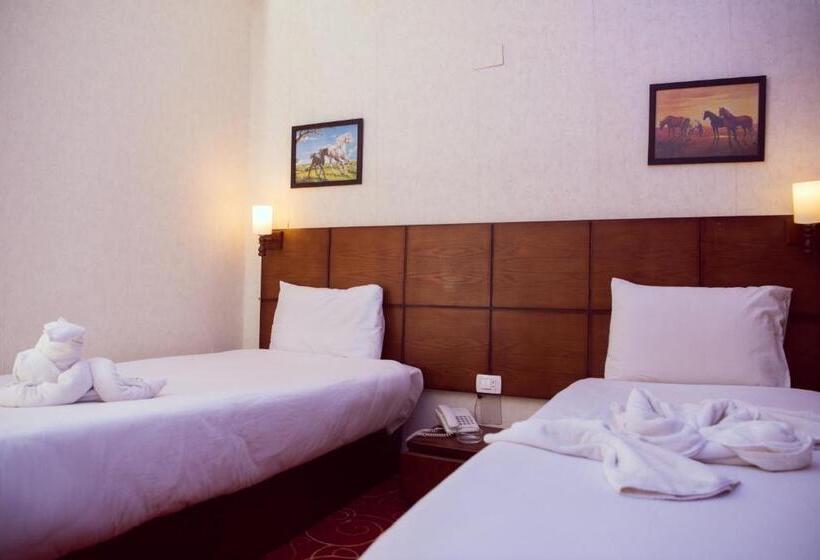 اتاق استاندارد, Salma Hotel Cairo