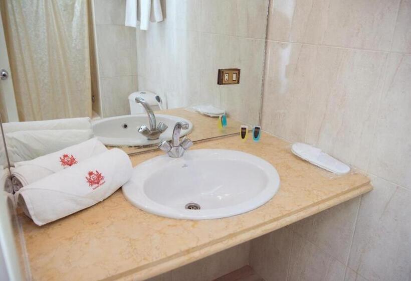 اتاق استاندارد یک نفره, Salma Hotel Cairo