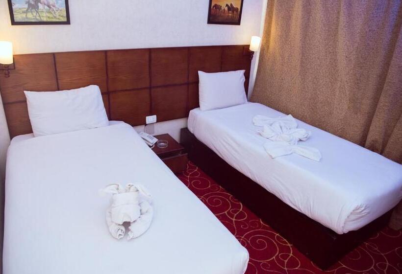 اتاق استاندارد یک نفره, Salma Hotel Cairo