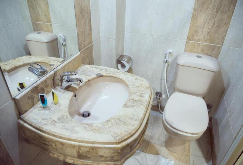 اتاق استاندارد یک نفره, Salma Hotel Cairo