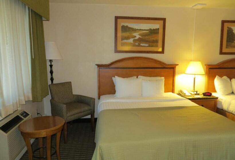 带大床的标准间, Baymont By Wyndham Durango