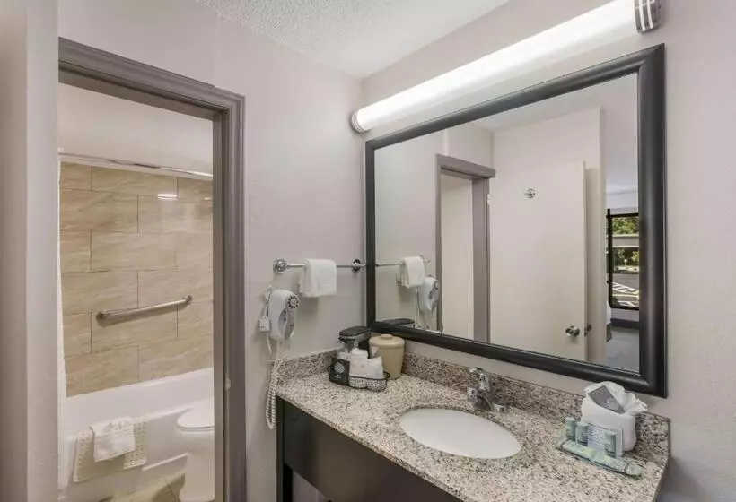 اتاق استاندارد با تخت بزرگ, Best Western Asheville Blue Ridge Parkway