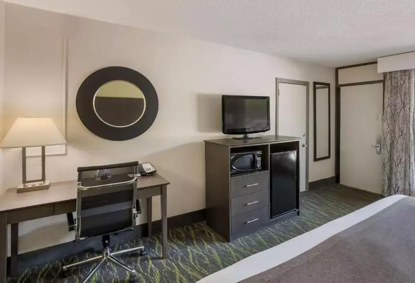 اتاق استاندارد با تخت بزرگ, Best Western Asheville Blue Ridge Parkway
