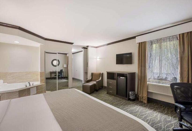 带大床的标准间, Best Western Asheville Blue Ridge Parkway