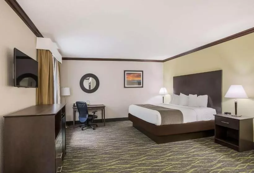 اتاق استاندارد با تخت بزرگ برای معلولان, Best Western Asheville Blue Ridge Parkway
