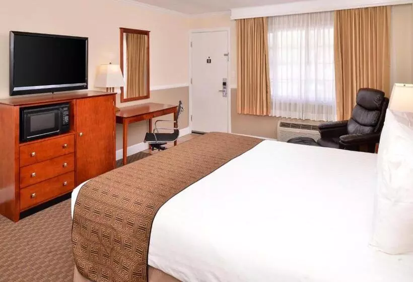 اتاق استاندارد با تخت بزرگ, Best Western Capistrano Inn