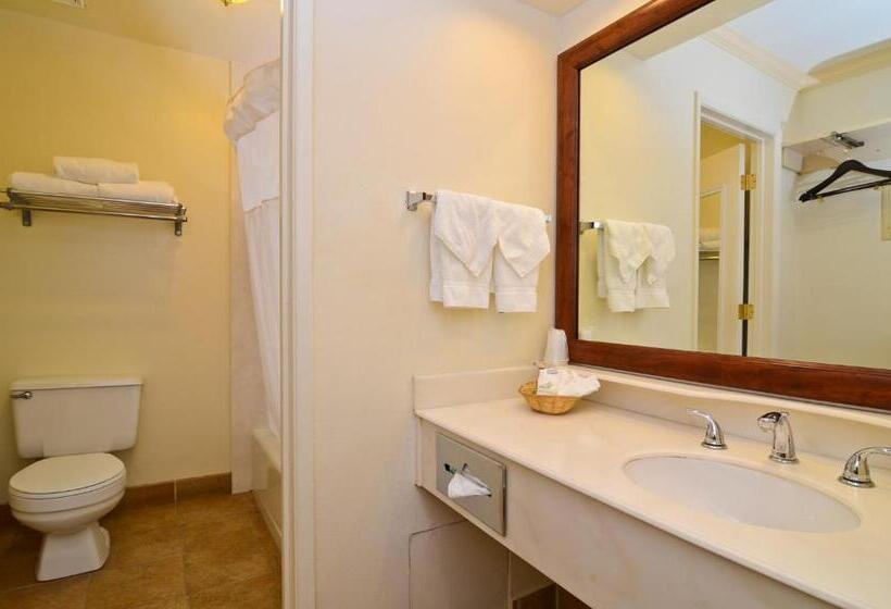 스탠다드 룸, Best Western Capistrano Inn