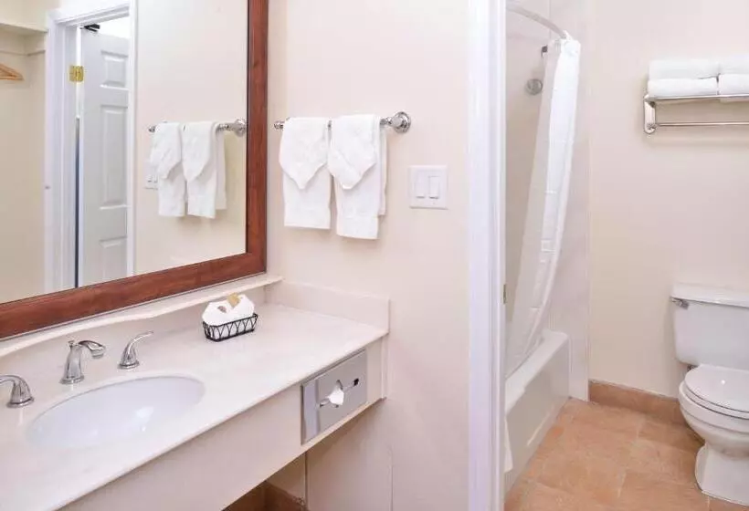 اتاق استاندارد با تخت بزرگ برای معلولان, Best Western Capistrano Inn