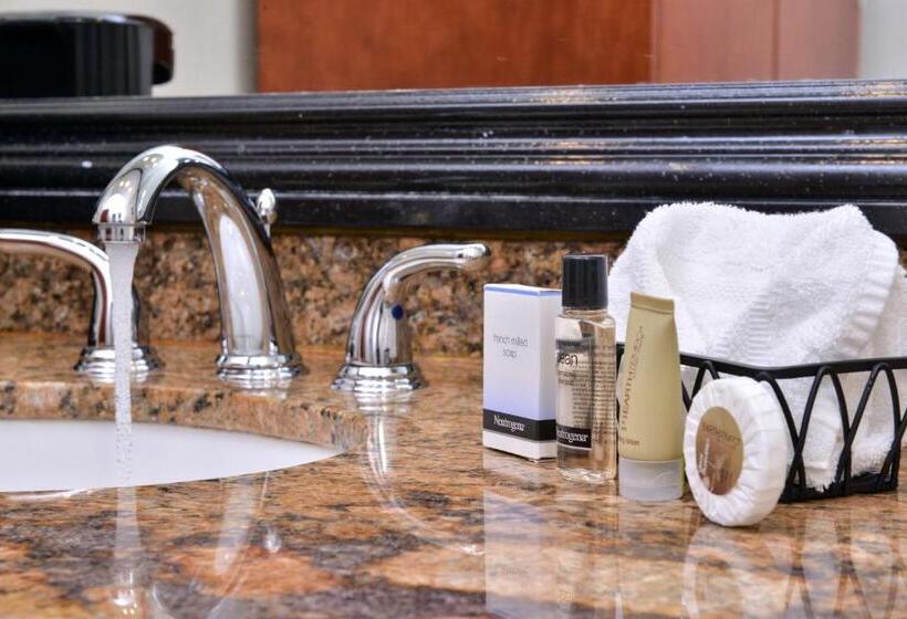 장애인을 위한 킹사이즈 침대 스탠다드 룸, Best Western Capistrano Inn