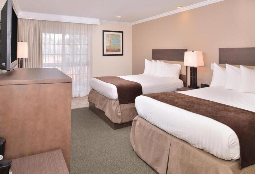 장애인을 위한 퀸사이즈 스탠다드 룸, Best Western Capistrano Inn