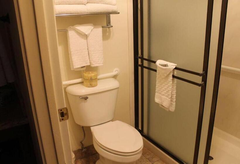 스탠다드 룸 킹사이즈 침대, Best Western Casa Grande Inn