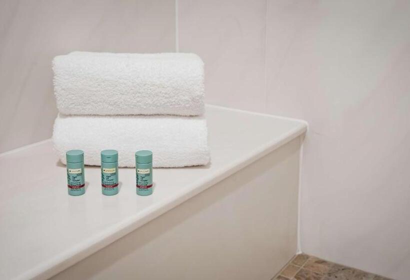 스탠다드 룸 킹사이즈 침대, Best Western Casa Grande Inn