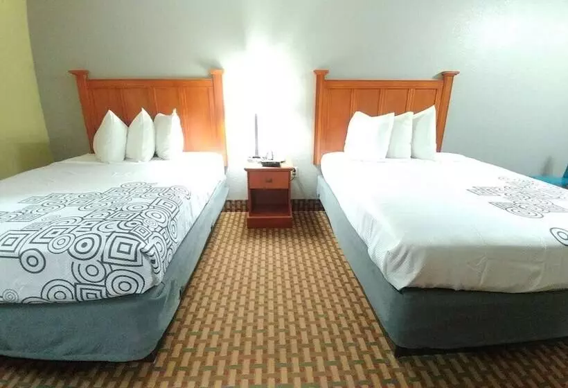２ダブルベッドのスタンダードルーム, Best Western Jacksonville Inn