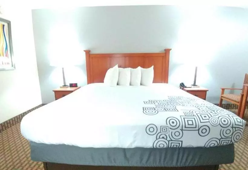 身障者適用キングサイズベッドルーム, Best Western Jacksonville Inn