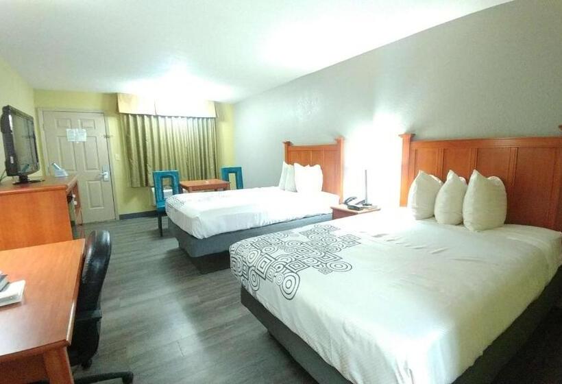 غرفه قياسيه سريرين مزدوجين, Best Western Jacksonville Inn