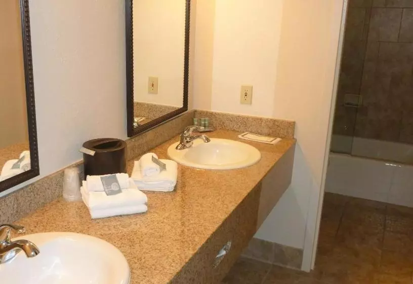 キングサイズベッドのデラックスルーム, Best Western Outlaw Inn