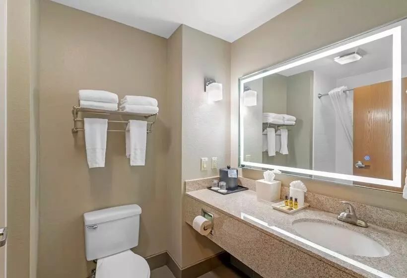 スイート, Best Western Plus Denton Inn & Suites