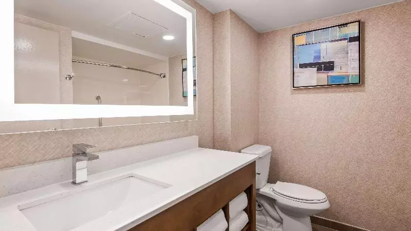 اتاق استاندارد با تخت بزرگ, Best Western Plus Raleigh Crabtree Valley