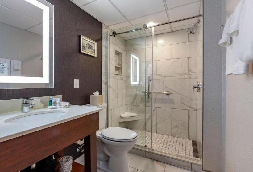 Классический Номер, Best Western Premier Park