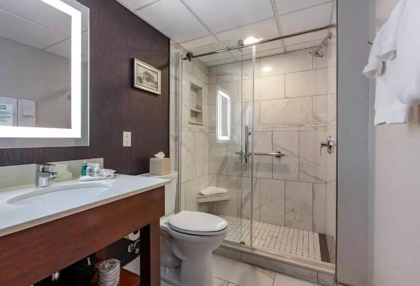اتاق کلاسیک با تخت دونفره, Best Western Premier Park