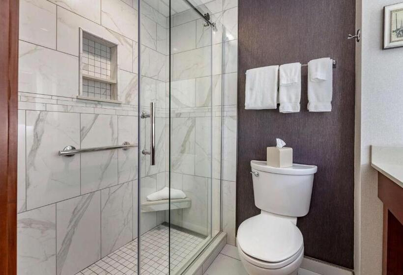 Номер Deluxe Кровать Кинг, Best Western Premier Park