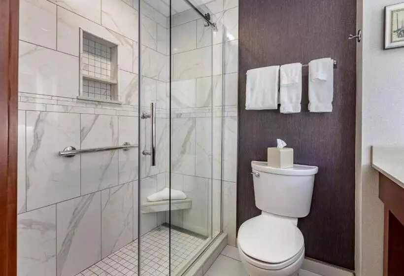 اتاق لوکس با تخت بزرگ, Best Western Premier Park