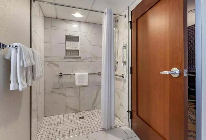 اتاق استاندارد برای معلولان, Best Western Premier Park